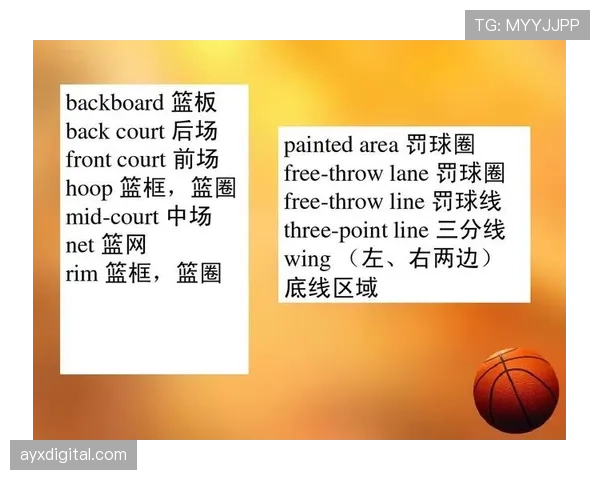 怎么理解篮球中的前场规则？新手必备的场地概念解析